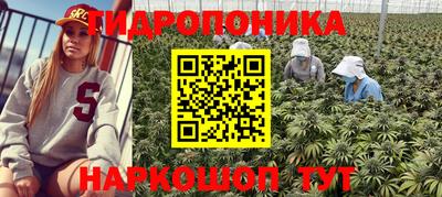 гашишное масло Будённовск