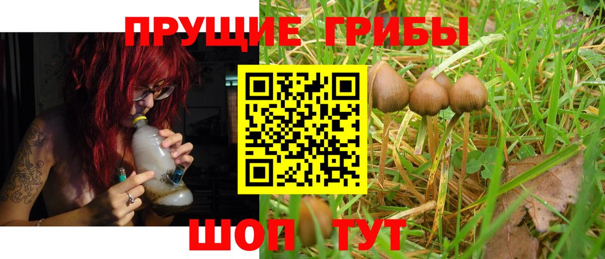 Псилоцибиновые грибы Psilocybe  Псилоцибиновые грибы MAGIC MUSHROOMS  Комсомольск-на-Амуре  Вход с VPN 