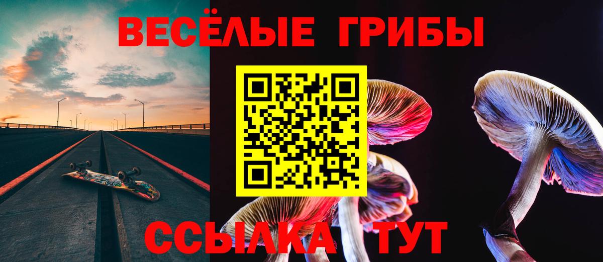 Галлюциногенные грибы GOLDEN TEACHER Комсомольск-на-Амуре